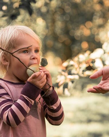 Barn der spiser et æble i skoven